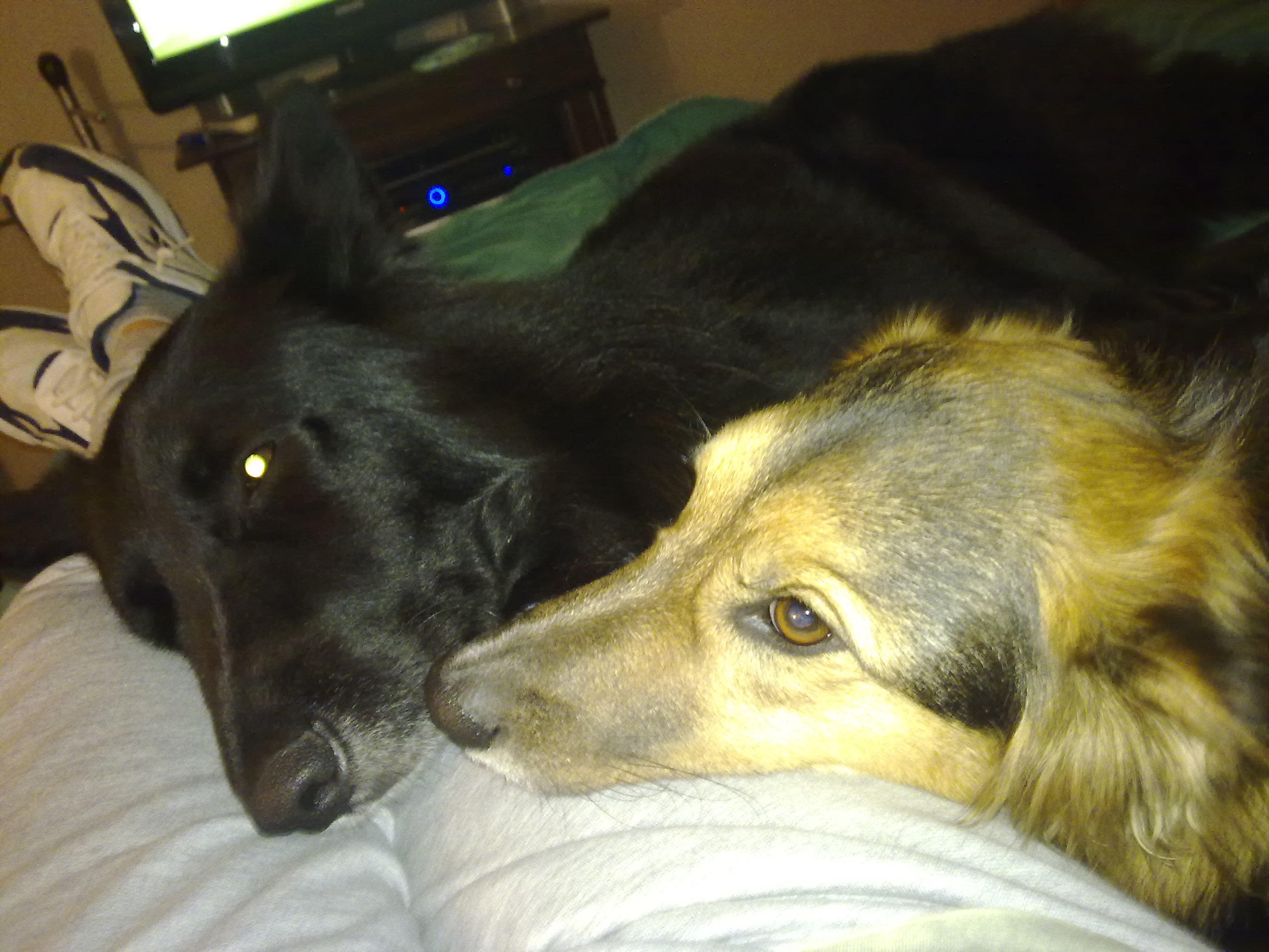 fotos/2010-07-19 - Mision Mundial/11062010428.jpg